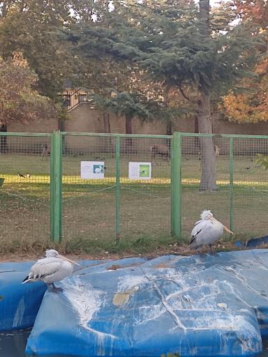 عکس بوستان ملت