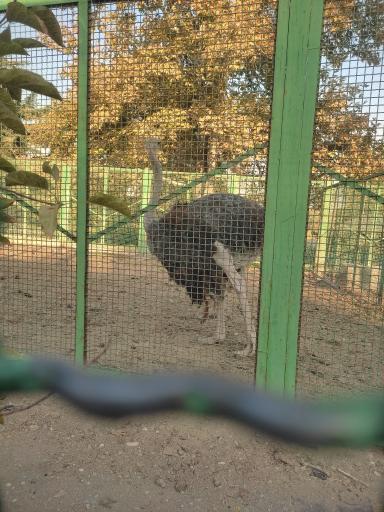 عکس بوستان ملت