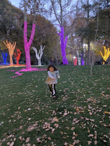 عکس بوستان ملت