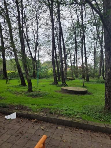 عکس بوستان ملت