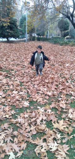 عکس بوستان ملت