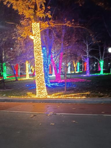 عکس بوستان ملت