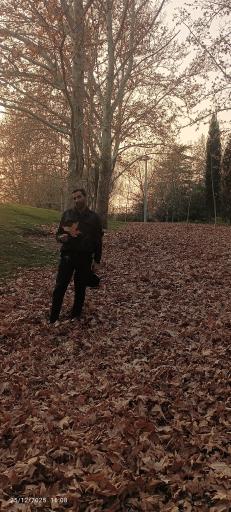 عکس بوستان ملت