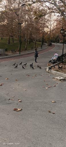 عکس بوستان ملت