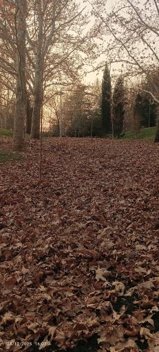 عکس بوستان ملت