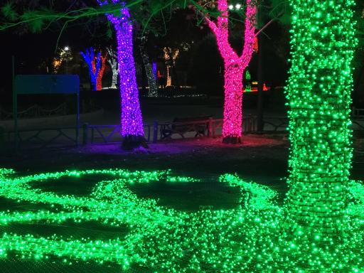 عکس بوستان ملت