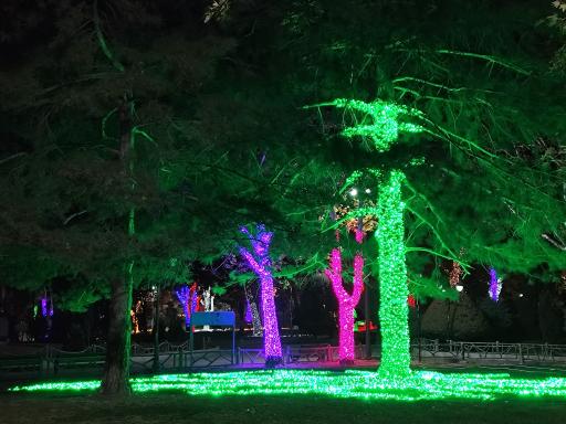 عکس بوستان ملت