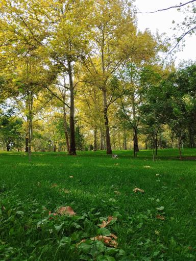 عکس بوستان ملت