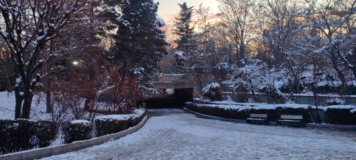 عکس بوستان ملت