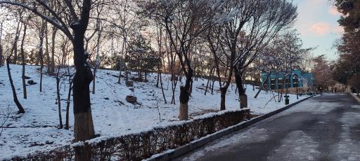 عکس بوستان ملت