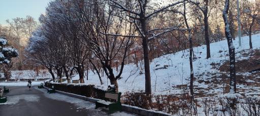 عکس بوستان ملت