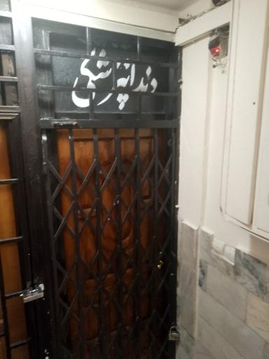 عکس دکتر معصومه دلفی