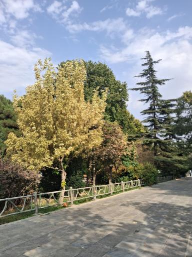 عکس بوستان ملت تهران