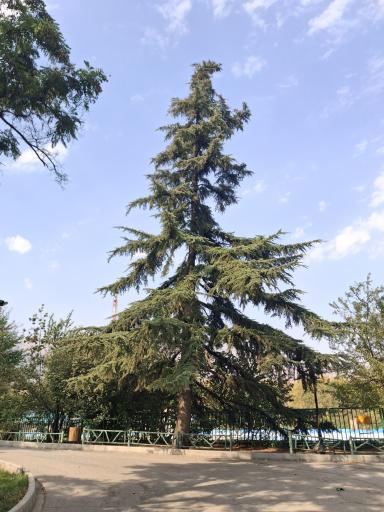 عکس بوستان ملت تهران