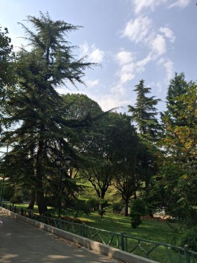 عکس بوستان ملت تهران