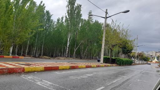 عکس پارک جنگلی 