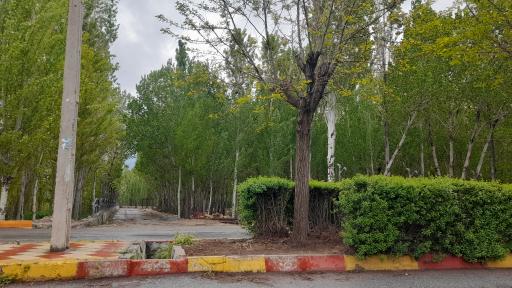 عکس پارک جنگلی 