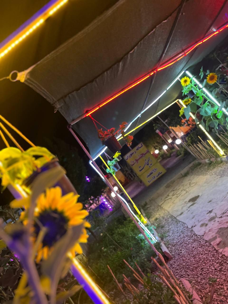 عکس سفره خانه مجنون