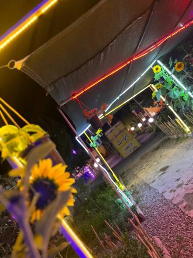 عکس سفره خانه مجنون