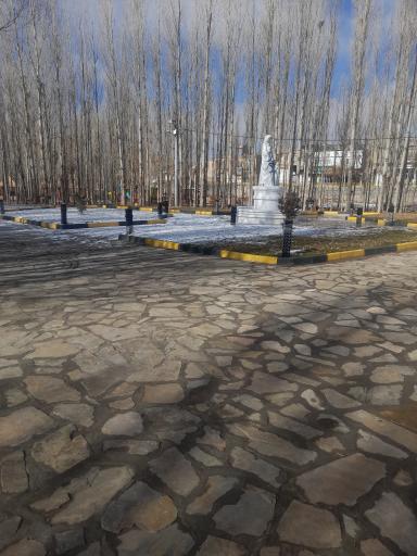 عکس پارک جنگلی 