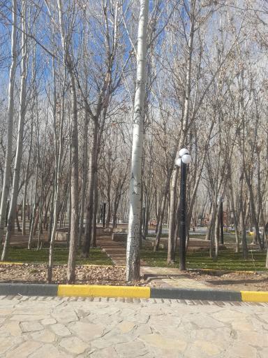 عکس پارک جنگلی 