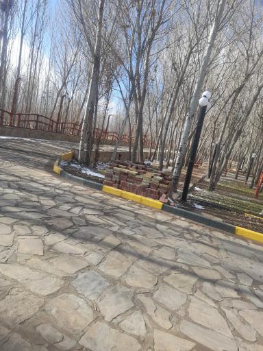 عکس پارک جنگلی 