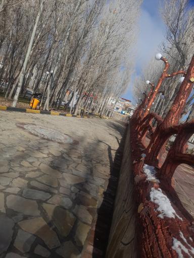 عکس پارک جنگلی 