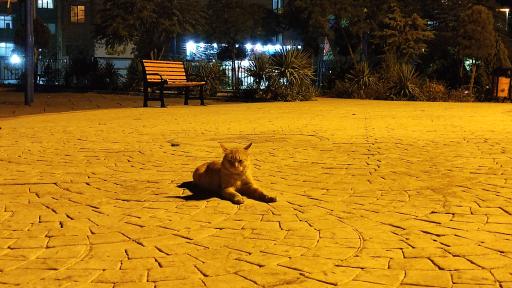 عکس بوستان کودک