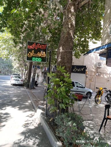 عکس کته کبابی شاهان 