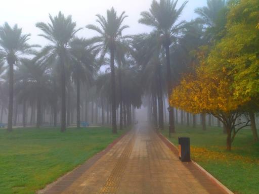 عکس بوستان خانواده 