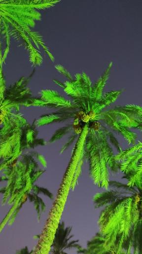 عکس بوستان خانواده 