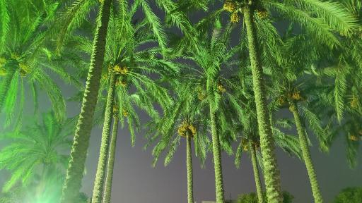 عکس بوستان خانواده 