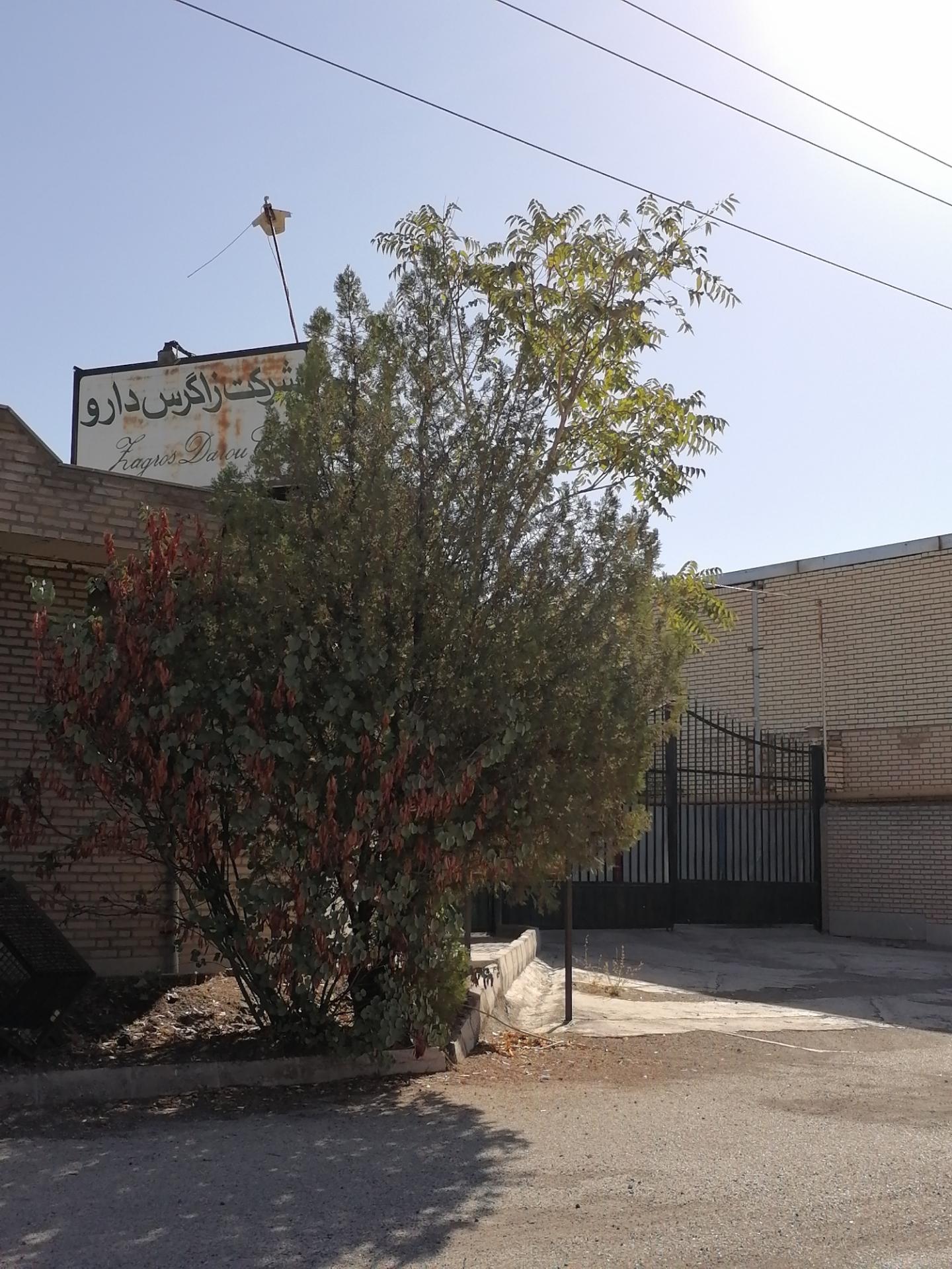 عکس شرکت زاگرس دارو