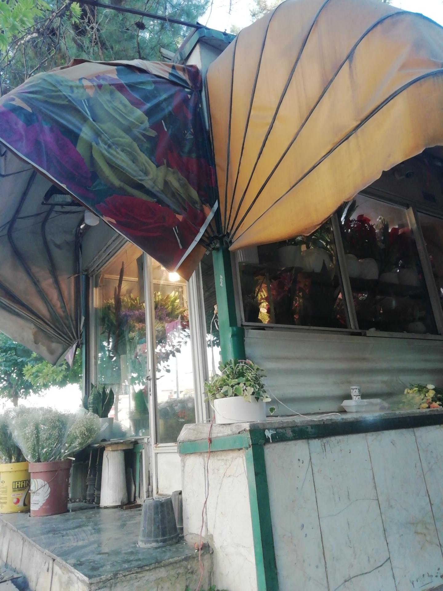 عکس دکه گل فروشی