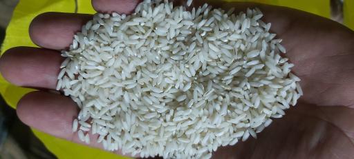 عکس کارخانه برنجکوبی و شالیکوبی موسی سواعدی (شمین)