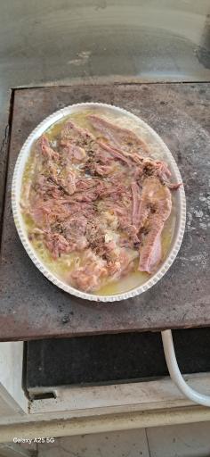 عکس طباخی مهدی یار