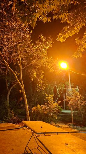 عکس باغ بانوان ناژوان