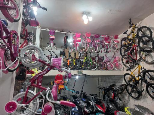 عکس موتورسیکلت پردیس