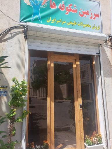 عکس سرزمین شکوفه‌ها