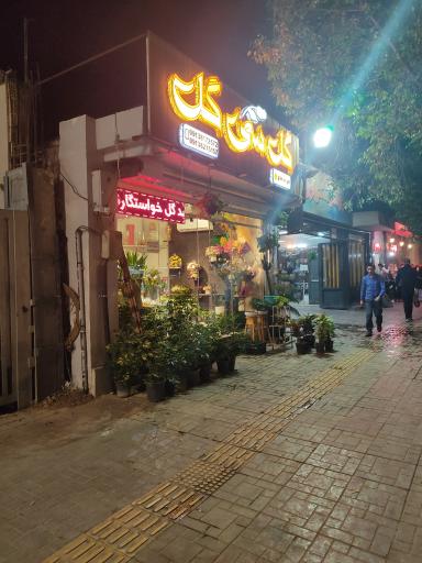 عکس گل سی گل