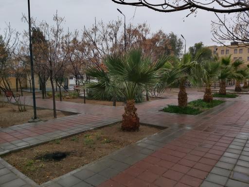 عکس بوستان همدلی