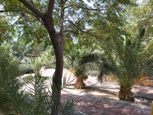 عکس بوستان همدلی