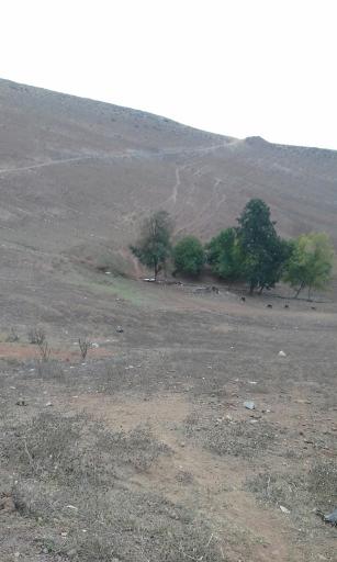 عکس چشمه جیجار