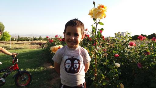 عکس بوستان آبشار