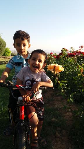عکس بوستان آبشار