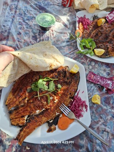 عکس تفرجگاه ائل باغی