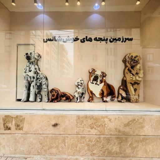 عکس پت شاپ هاپ شاپ 