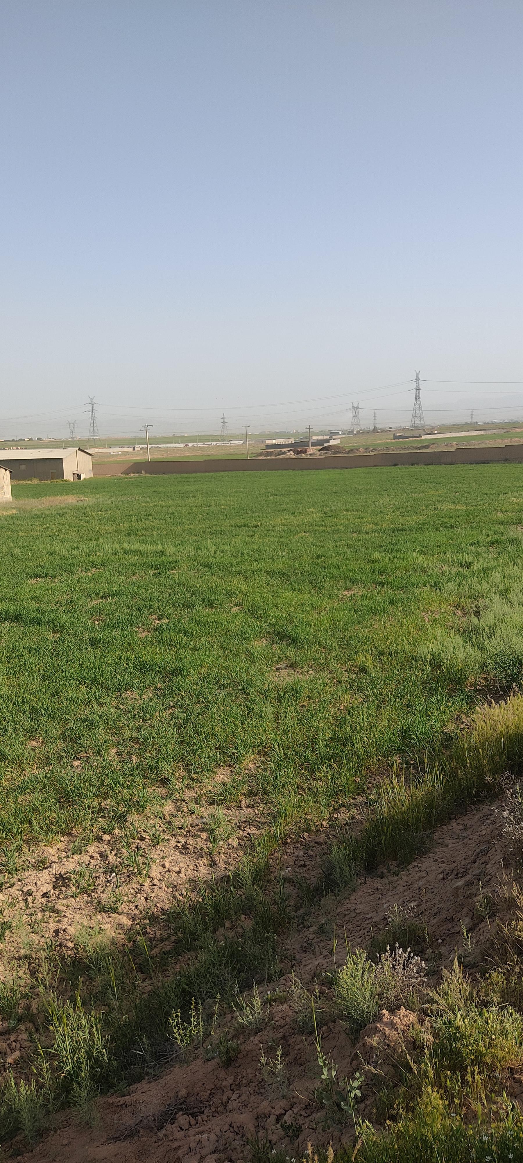 عکس مرغداری محمدی