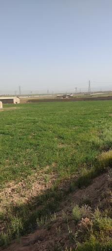 مرغداری محمدی