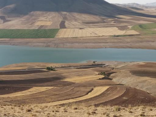 عکس باغ سیب زنگنه